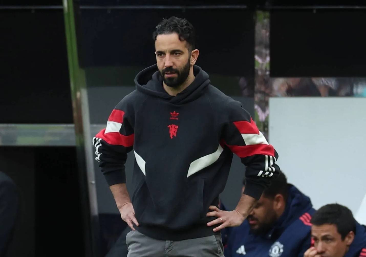 ميرفي